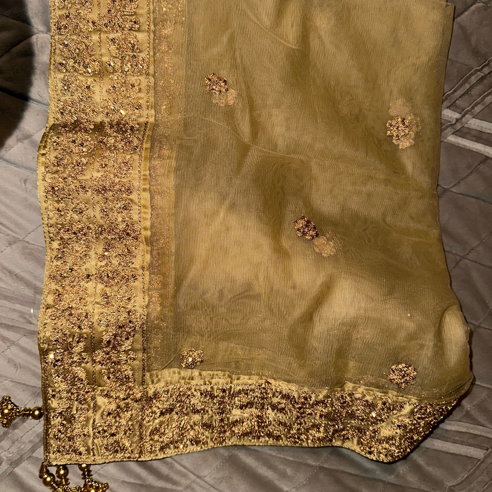 Golden embroidery Saree